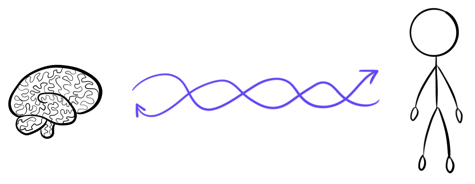 On the left, there is a brain. On the right, there is a body. One arrow points from the brain to the body, and one arrow points from the body to the brain. These arrows are intertwined.